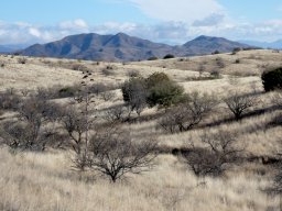 Arizona_2007-2008-003